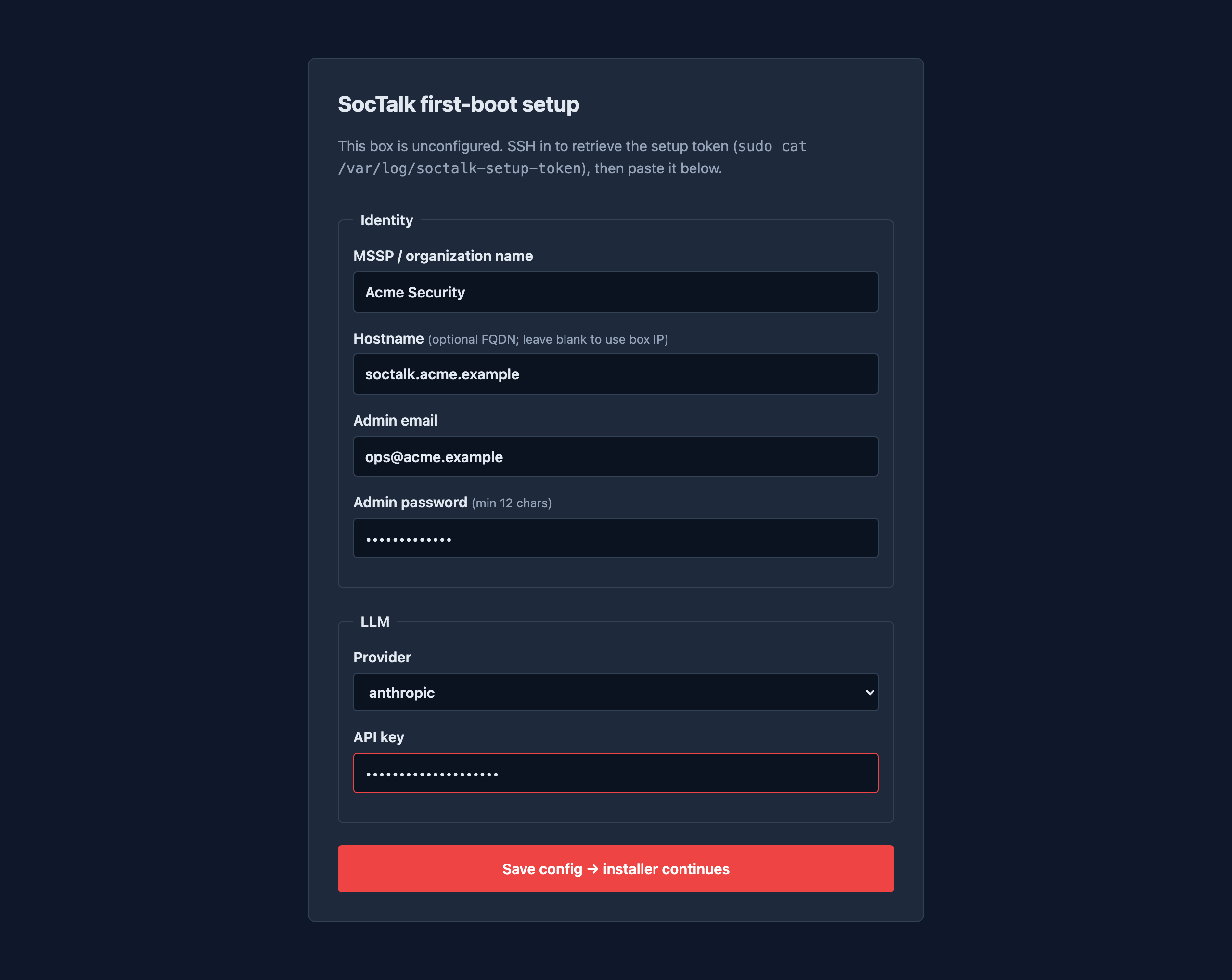 Setup wizard — config form, filled